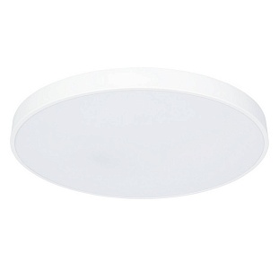 Светильник потолочный ARTE LAMP ARENA A2671PL-1WH