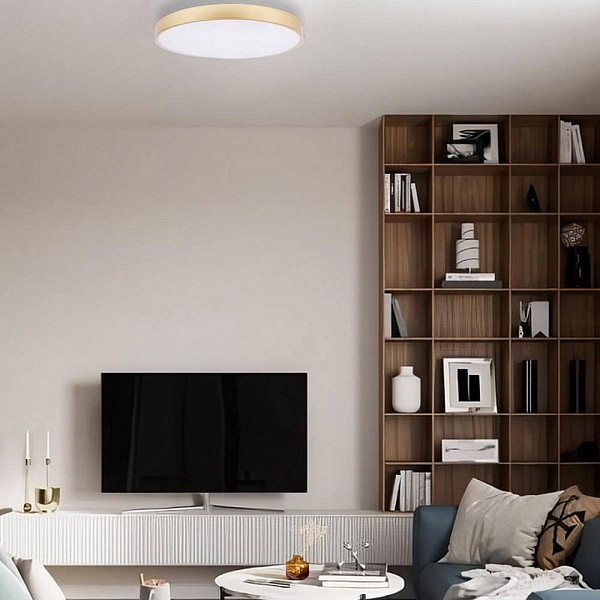 Светильник потолочный LOFT IT FLIMS 10228/B