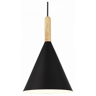 Подвес EVOLUCE ARKET SLE1255-403-01