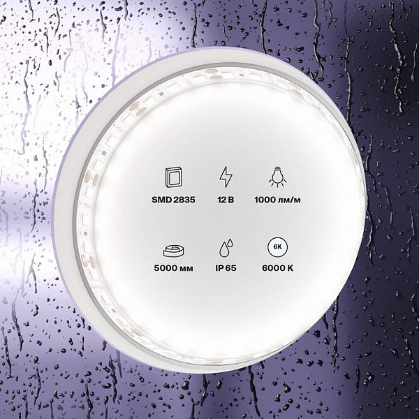 Лента LED STANDART 9,6 W/m 12V IP65 2835/120 6000K 8mm (5м) 10113 MAYTONI