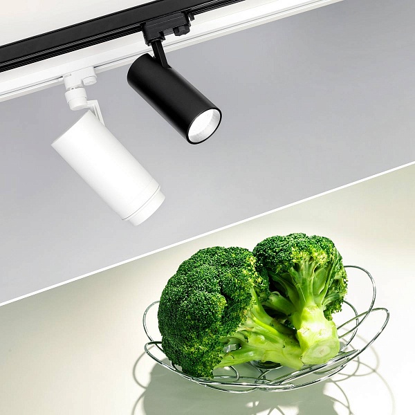 Трековый светильник ARLIGHT ZEUS FOOD 32449