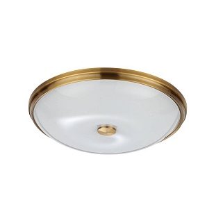 Светильник настенно-потолочный ODEON LIGHT PELOW 4956/5
