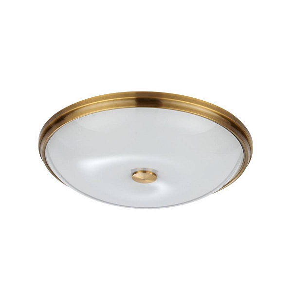 Светильник настенно-потолочный ODEON LIGHT PELOW 4956/5