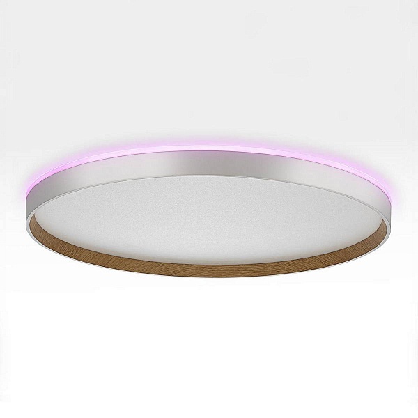 Светильник потолочный CITILUX ETALON CL750500R