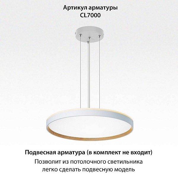 Светильник потолочный CITILUX ETALON CL750500R