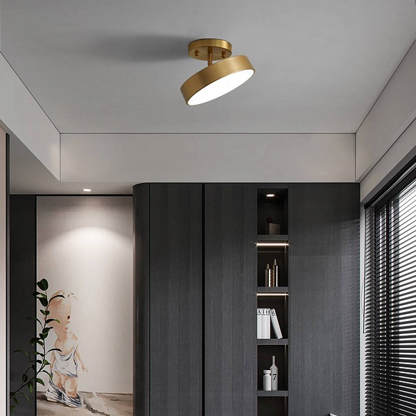 Светильник потолочный IMPERIUMLOFT TENN-C 293896-26