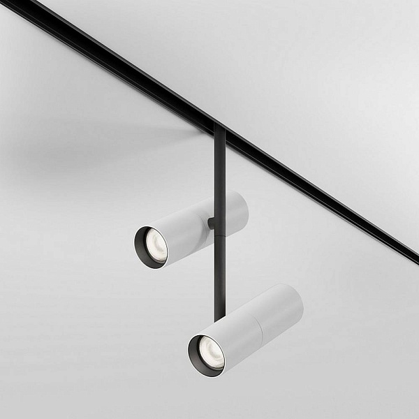 Трековый светильник MAYTONI ELTI DUO TR005-4-2X12W-DS-BW