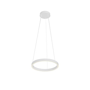 Подвес MAYTONI RIM MOD058PL-L22WK