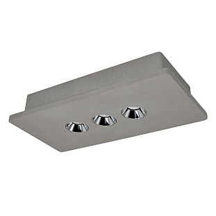 Светильник потолочный LOFT IT ARCHITECT OL1072-GH/3