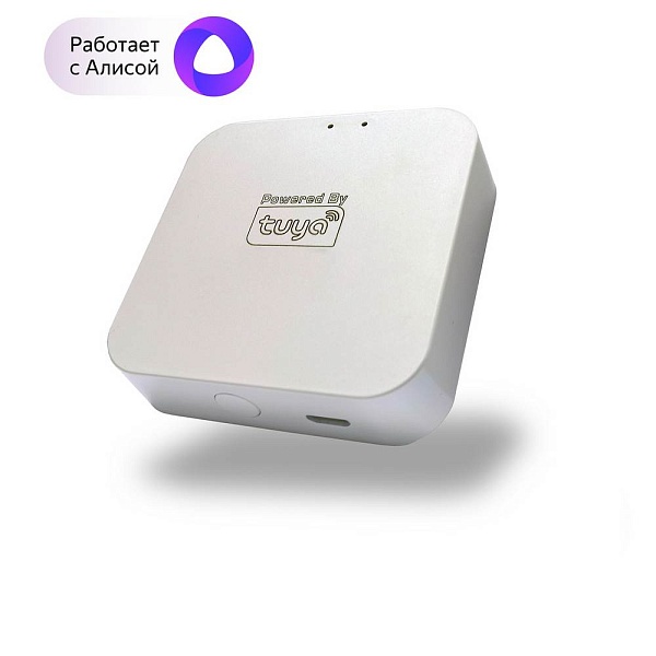 Wi-Fi модуль DENKIRS SMART DK7400-WF
