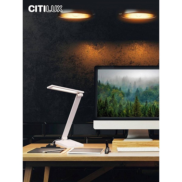 Настольная лампа CITILUX НЬЮТОН CL803080