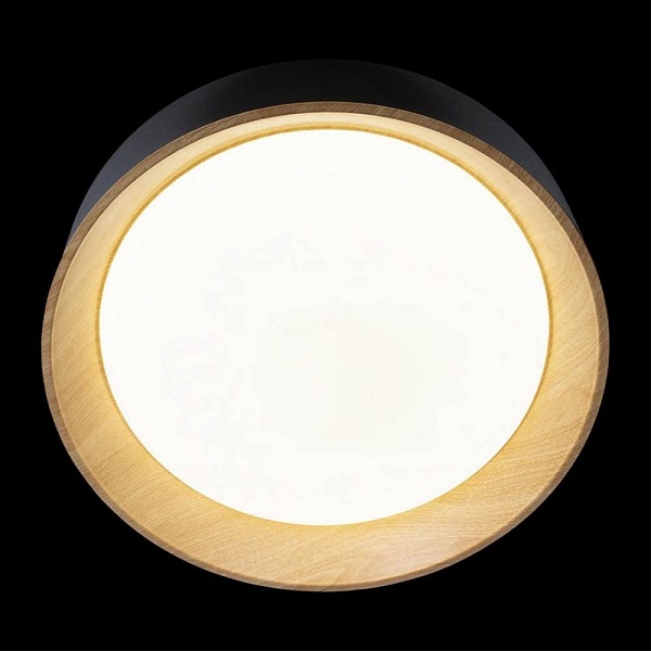Светильник потолочный LOFT IT COIN 10202 Black