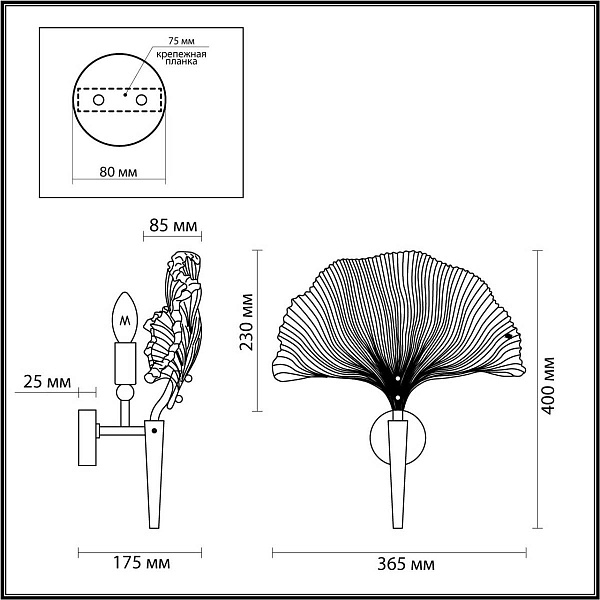 Бра ODEON LIGHT VENTAGLIO 4870/1W