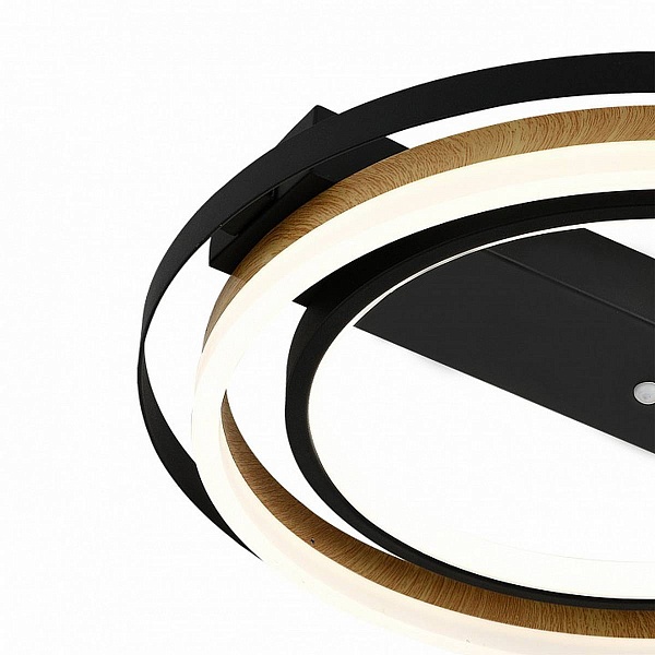 Светильник потолочный ESCADA LAGOM 10247/2LED