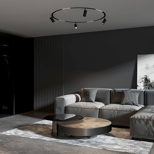 Трековый светильник ELEKTROSTANDARD SLIM MAGNETIC a066509