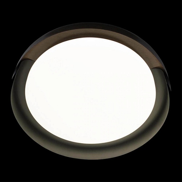 Светильник потолочный LOFT IT COIN 10198 Black