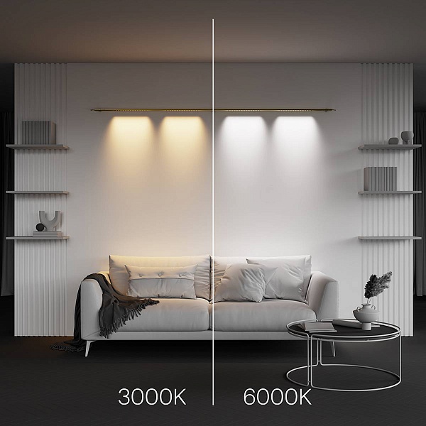 Трековый светильник MAYTONI POINTS C101CL-L1000-24W3-6K-BS