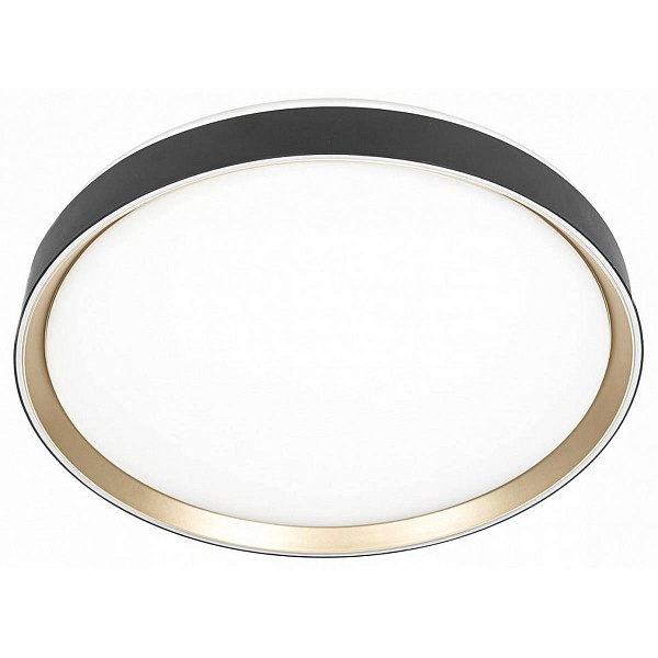 Светильник потолочный CITILUX BOSS CL751451G