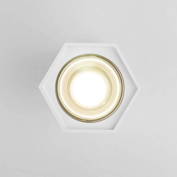 Спот ELEKTROSTANDARD 25036-LED a055856