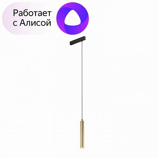 Трековый светильник DENKIRS SMART DK8008-BG