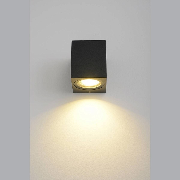 Светильник уличный настенный CRYSTAL LUX CLT 528W1 BL
