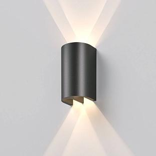 Светильник уличный настенный ELEKTROSTANDARD TWINRAY a071009