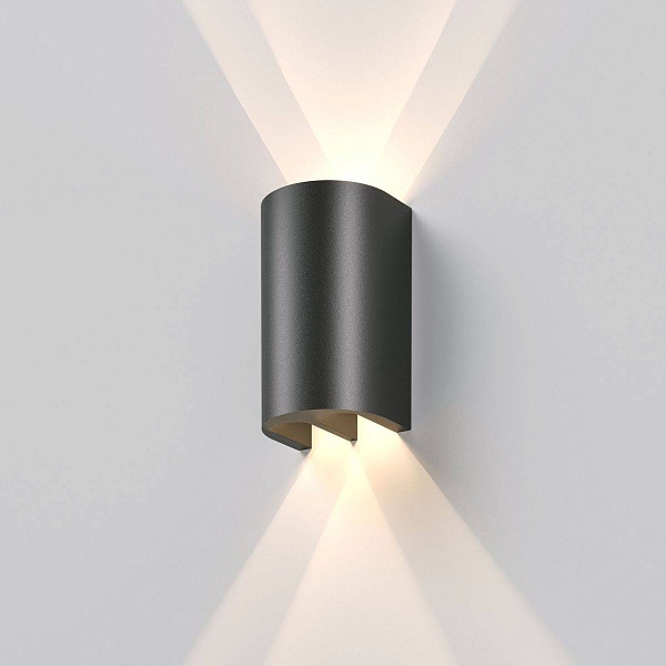 Светильник уличный настенный ELEKTROSTANDARD TWINRAY a071009