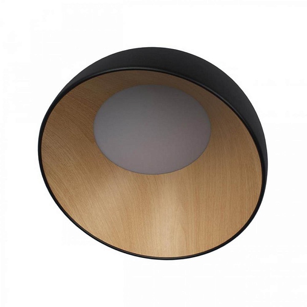 Светильник потолочный LOFT IT EGG 10197/350 Black