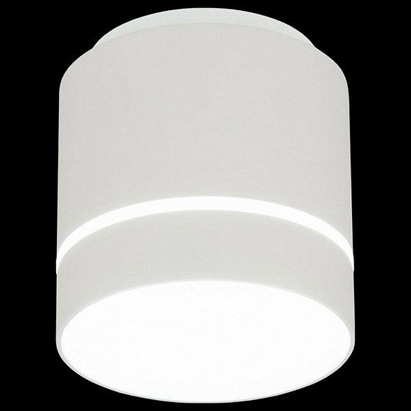Спот CITILUX БОРН CL745020N