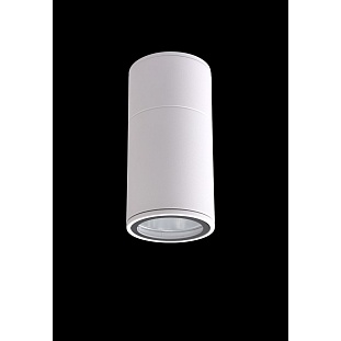 Светильник уличный потолочный CRYSTAL LUX CLT 138C180 WH
