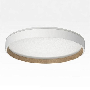 Светильник потолочный CITILUX ETALON CL750320R