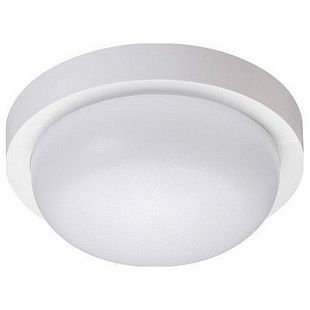 Светильник уличный потолочный NOVOTECH OPAL 358014