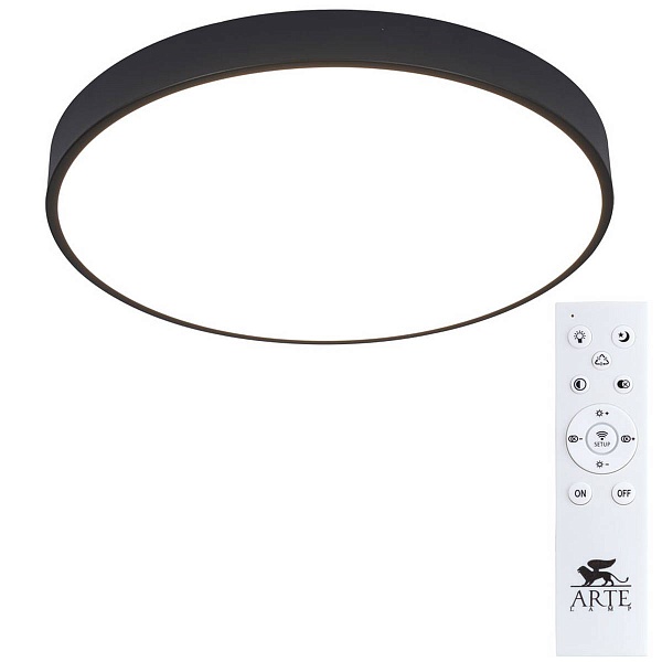 Светильник потолочный ARTE LAMP ARENA A2672PL-1BK