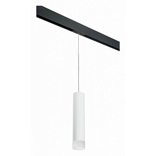 Трековый светильник LIGHTSTAR RULLO PRORP49631