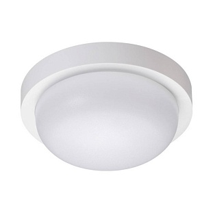 Светильник уличный потолочный NOVOTECH OPAL 358014