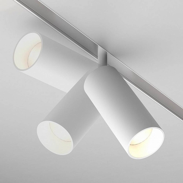 Трековый светильник MAYTONI FOCUS LED TR032-2-12W4K-S-W