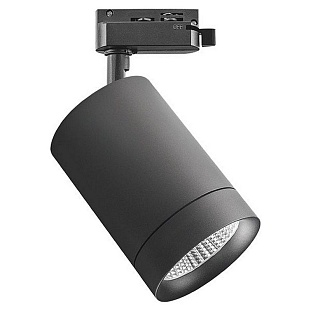 Трековый светильник LIGHTSTAR CANNO 303272