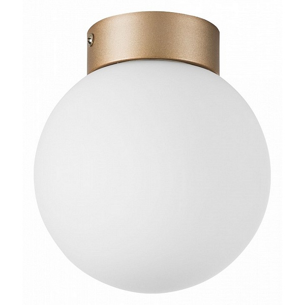Светильник потолочный LIGHTSTAR GLOBO 812013