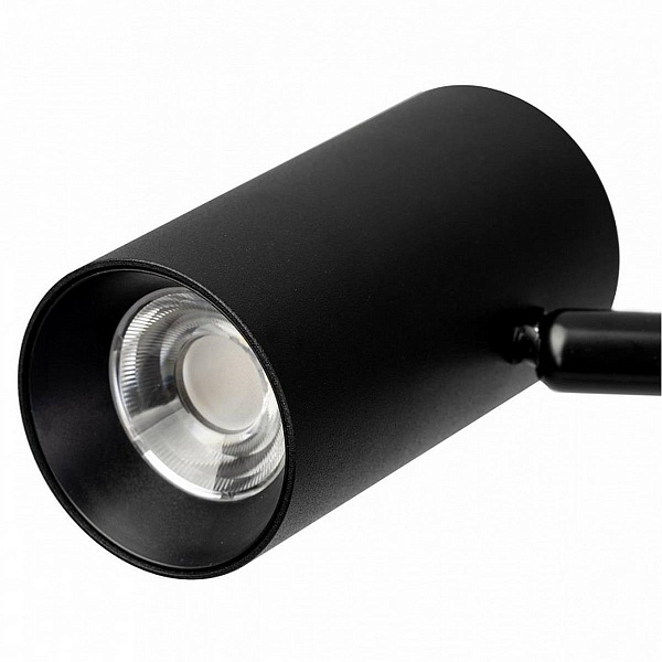 Торшер CITILUX TWIN CL809011N