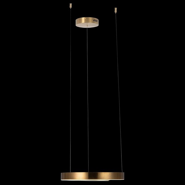 Подвес LOFT IT RING 10013S