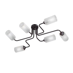Люстра потолочная VITALUCE  V4310-1/6PL