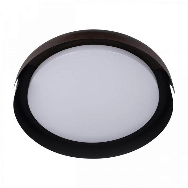 Светильник потолочный LOFT IT COIN 10198 Black
