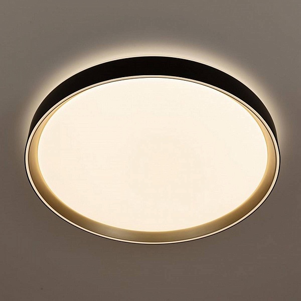 Светильник потолочный CITILUX BOSS CL751451G