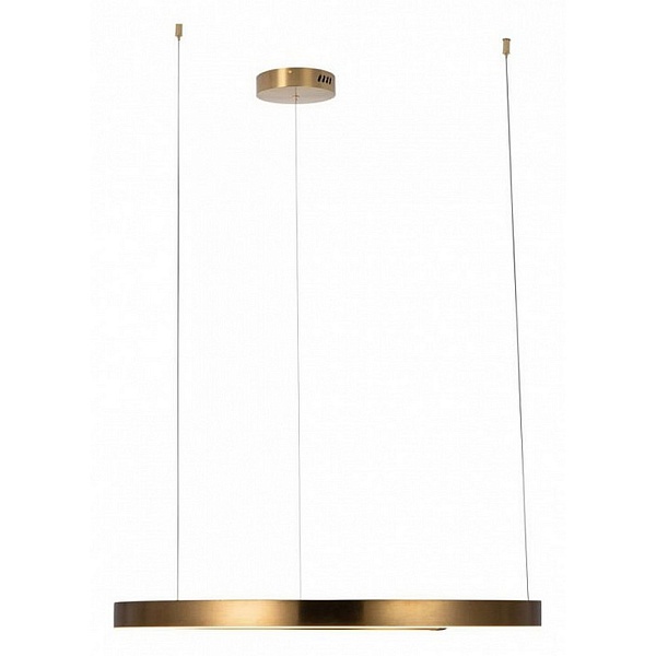Подвес LOFT IT RING 10013L