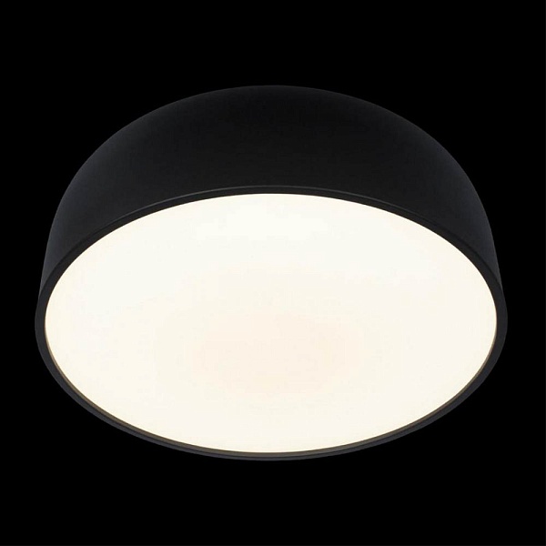 Светильник потолочный LOFT IT AXEL 10201/480 Black