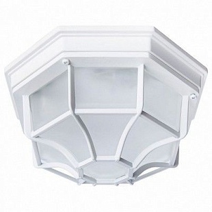 Светильник уличный потолочный ARTE LAMP PEGASUS A3100PL-1WH