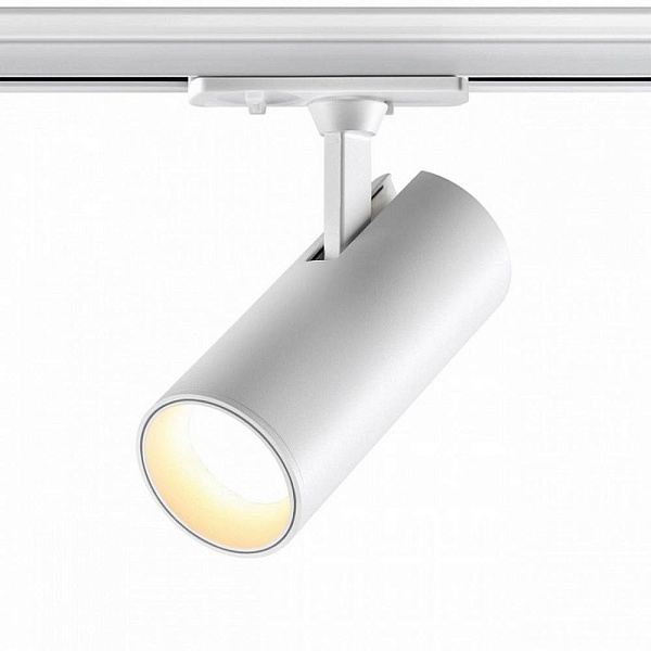 Трековый светильник NOVOTECH SELENE 359155