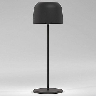Настольная лампа ELEKTROSTANDARD BITTY a069002
