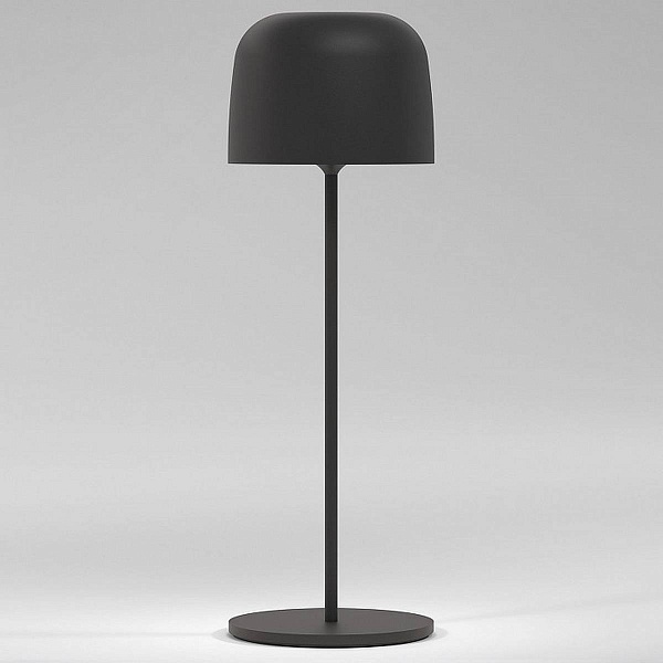 Настольная лампа ELEKTROSTANDARD BITTY a069002