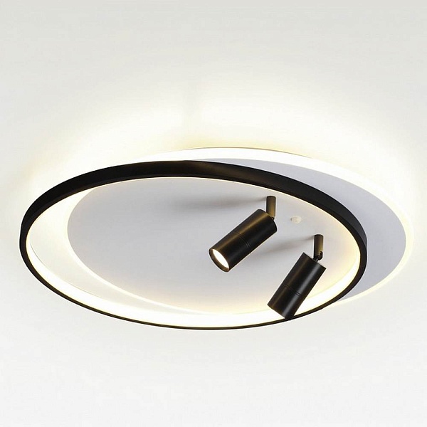 Светильник потолочный LUMION NAOKO 5603/75CL